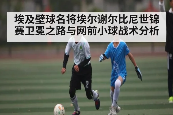 埃及壁球名将埃尔谢尔比尼世锦赛卫冕之路与网前小球战术分析