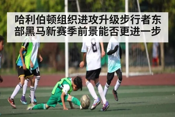 哈利伯顿组织进攻升级步行者东部黑马新赛季前景能否更进一步
